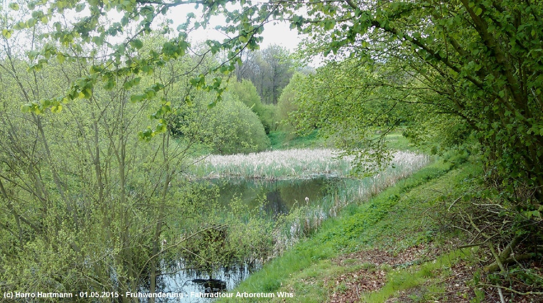 15-05-01_Fahrradtour Arboretum Whs (23).jpg